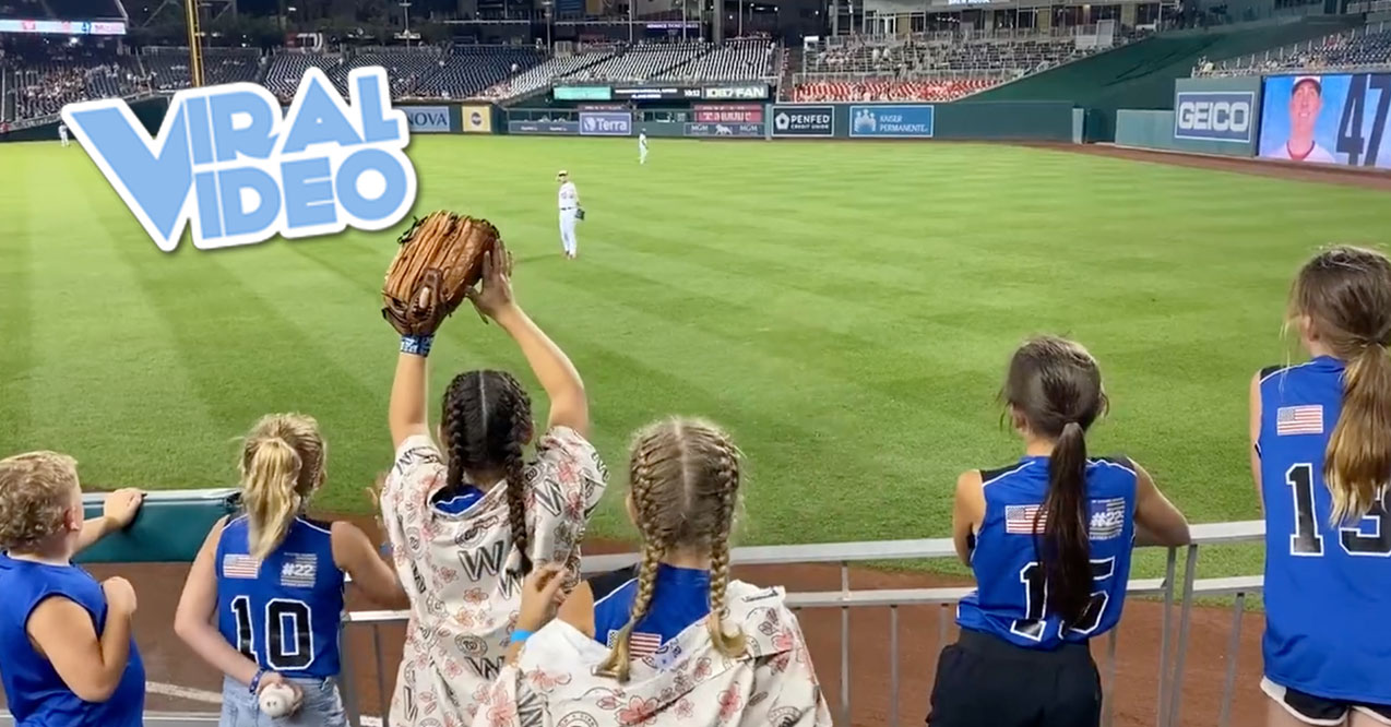 Viral Video: A Jerk at a Major League Game