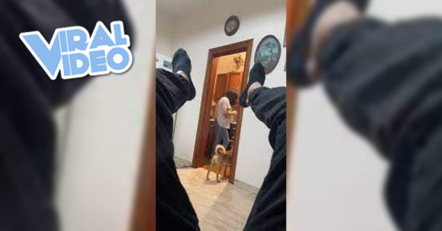 Viral Video: It Even Gets the Dog’s Attention