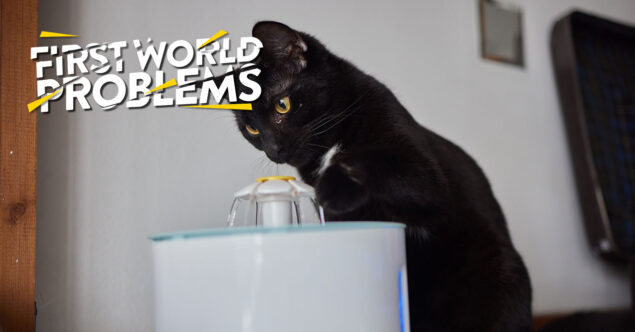 First World Problems – Cat Water Fountain