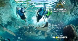 Discovery Cove Orlando!!