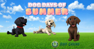 Show Off Your Dogs!